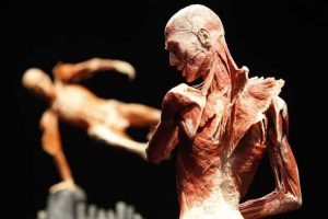 Body worlds