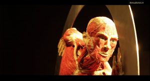 BodyWorlds