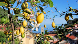 territorio in Liguria