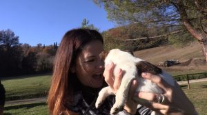 Un piccolo Jack Russel ha fatto innamorare Michela