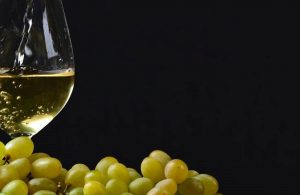 degustazione vino
