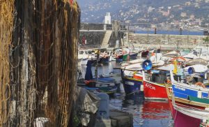 Camogli porticciolo