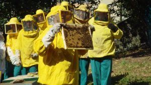 corsi di apicoltura