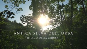 Antica Selva dell'Orba