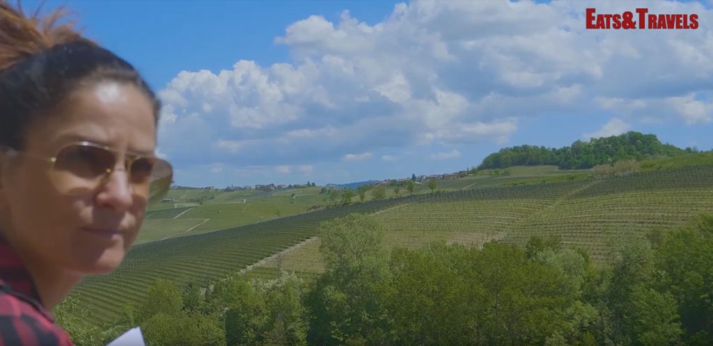 Panorama sui vigneti