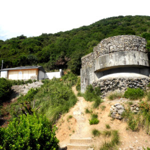 batterie